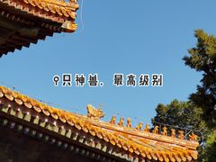 -孔庙和国子监博物馆