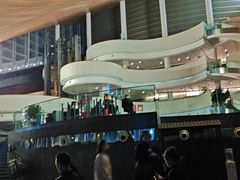 -合肥大剧院