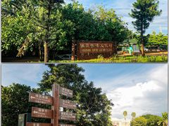 -侯臣咖啡文化村