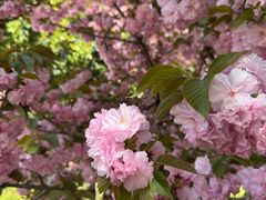 -洛阳市隋唐城遗址植物园