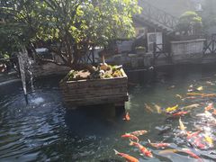 -猪肉婆私房菜(容桂总店)