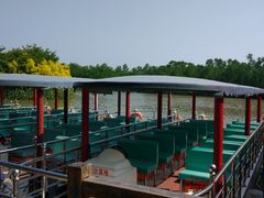 -大湾区中央湿地公园