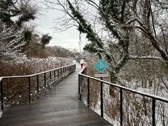 -济州森林小火车生态公园