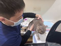 -初心动物医院