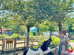 -水上乐园·欢乐世界