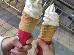 -蜜雪冰城·冰淇淋与茶(福大店)