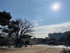 -景福宫