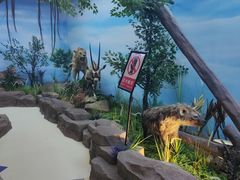 -西霞口神雕山野生动物世界