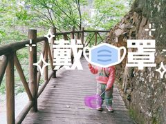 -泽雅七瀑涧景区