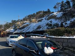 -四明山国家森林公园