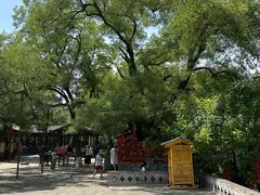 -大槐树寻根祭祖园