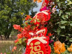 -中国科学院华南植物园