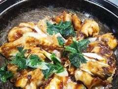 -石岐乳鸽村(南海第三分店)