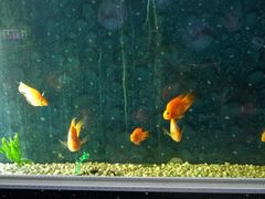 -唯爱KTV聚会餐厅(仙林东城汇店)