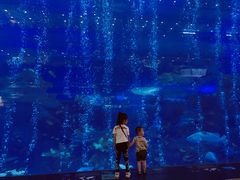 -成都浩海立方海洋公园