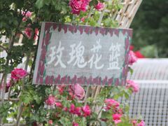 -太阳宫公园
