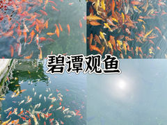-东湖听涛景区