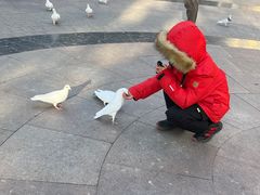 -中粮·祥云小镇