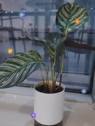 -痘院长·祛痘·皮肤管理