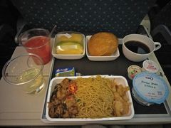 -新加坡航空公司(ION)