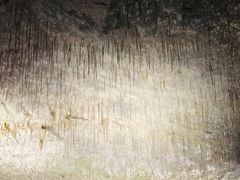 -波斯托伊纳溶洞