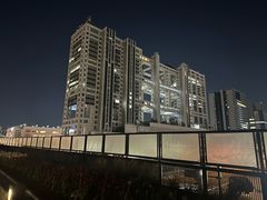 -台场海滨公园船码头
