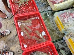 -拉威海鲜市场