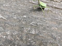 -十八重溪