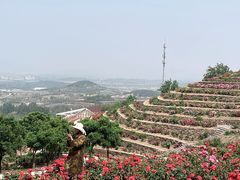 -密云玫瑰情园