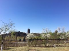 -永定河休闲森林公园