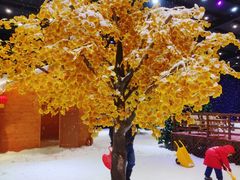 -宁波冰雪大世界(北仑区)