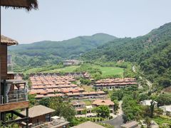 -东南花都花博园