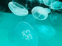 -沈阳海洋探索中心