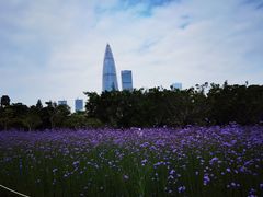 -深圳人才公园