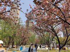 -西北湖绿化广场