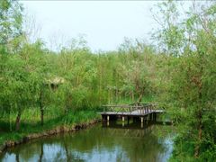 -溱湖国家湿地公园