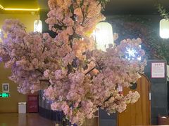 -汤泉良子(金源店)