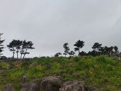 -柱状节理带