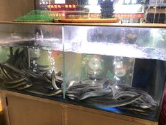 -本炙炭烤·蒲烧活鳗料理店(金沙洲店)