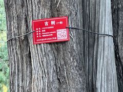 -北京市劳动人民文化宫(太庙)