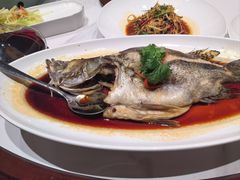 -惠丰堂饭庄(北洼路店)