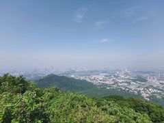 -紫金山山顶公园