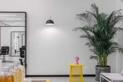 -T8 SALON