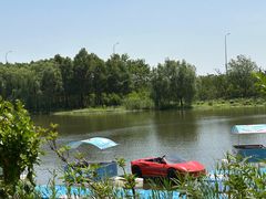 -合肥滨湖国家森林公园