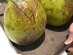 -东椰·海南椰子鸡火锅(朝阳门店)