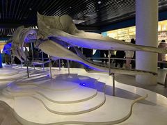 -青岛海底世界-水族馆