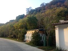 -湘湖金融镇