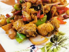 -兰州老马家族食府(康庄总店)