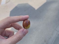 -北京市东四九条小学