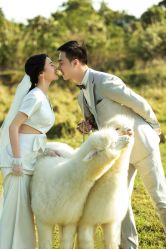 -经典婚纱摄影美学馆·私人定制